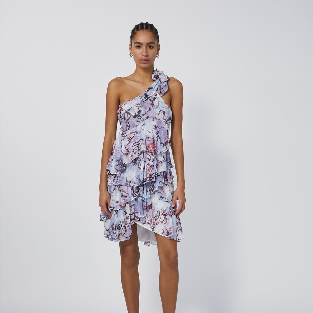 BNWT IRO Jofrey Frilly Asymmetrical Dress